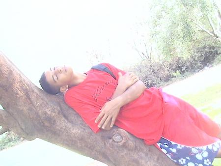 c dans les jardins de waha vous connaissez??lol